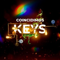 Coincidimos - Single - Keys