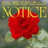 Notice - Single