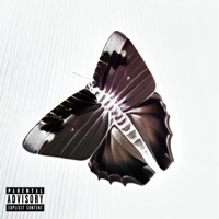 The Butterflies Mixtape, Pt. 2 - Randy