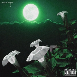 Přivázanej (feat. Alone) Wavy
