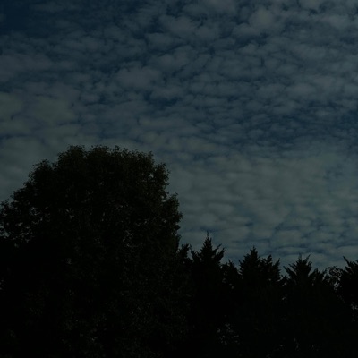 U (feat. Rubanyeva) - Single