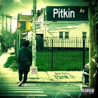 Pitkin - Single - Polo Paul