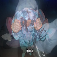 Lotus (feat. Huuli) - Single - Chicken