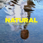 Natural (Korean Version) artwork