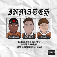 Inm3tes - Single - RO-B. Z., Zymic & Cody Wasabi