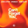 Can’t Forget You (feat. James Blunt) - Single, 2023