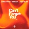 Can’t Forget You (feat. James Blunt) cover