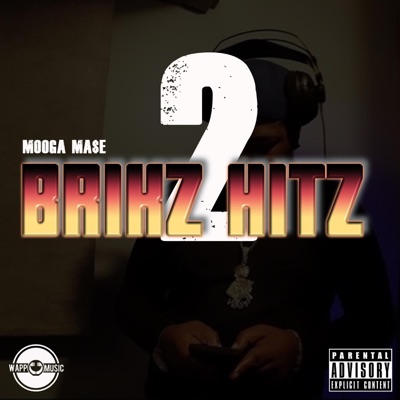 Brikz2Hitz (feat. Richy Waterz) - Single