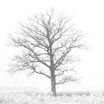 Keep My Letter Safe - Single