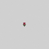 TULIPANES - Single - Bryan Banuelos