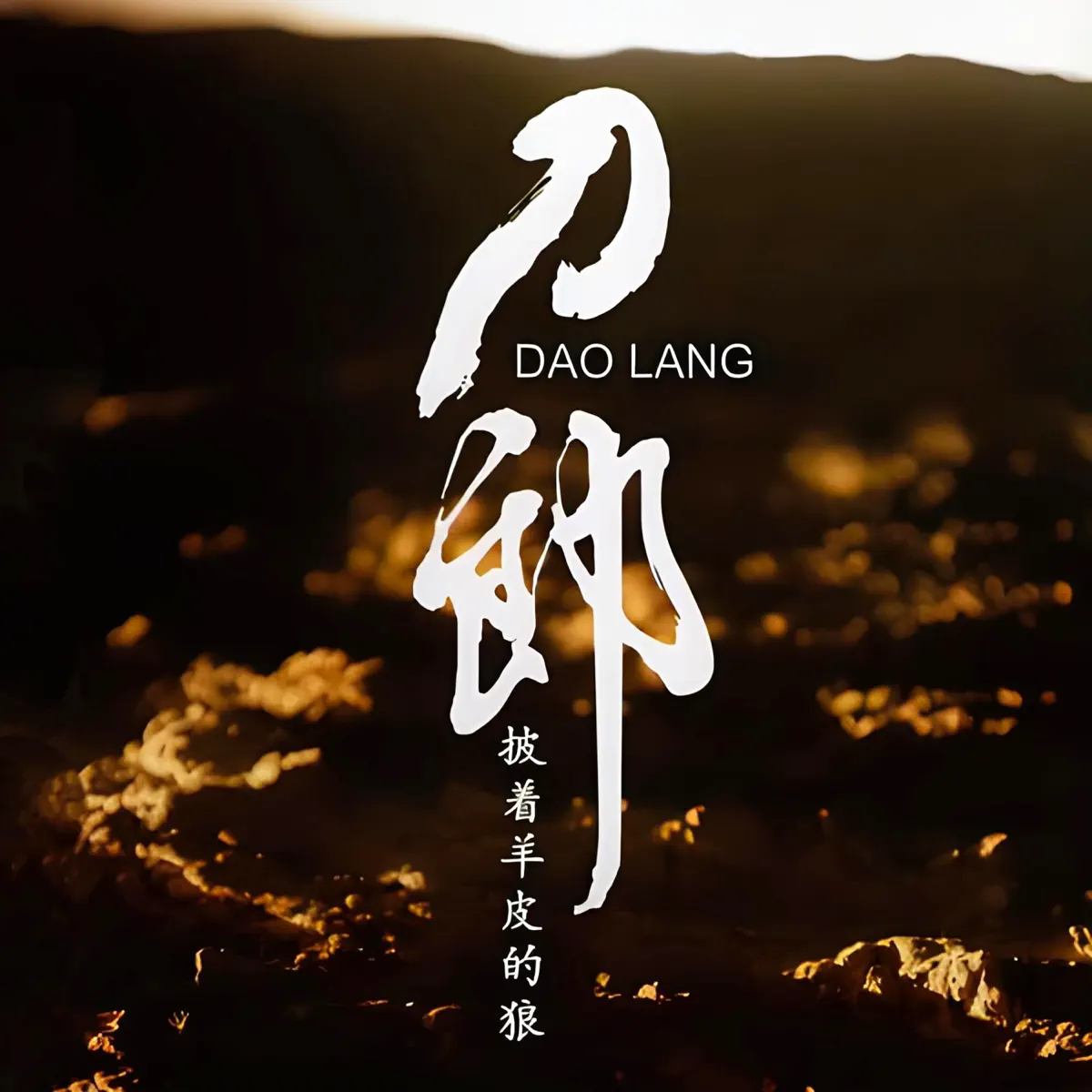 刀郎 – 披著羊皮的狼 (2006) [iTunes Plus AAC M4A]-新房子