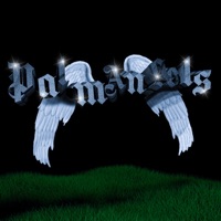 PALM ANGELS - Single - Ruxo