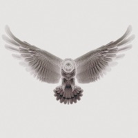 Fly Away (feat. Miss Vii) - Single - Lowkea