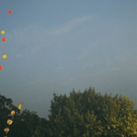 Balance - Single - Koalres