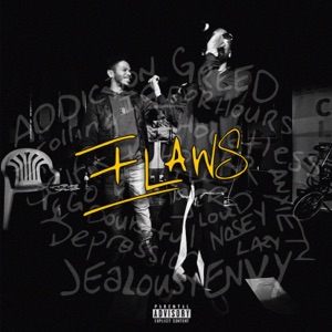 FLAWS
