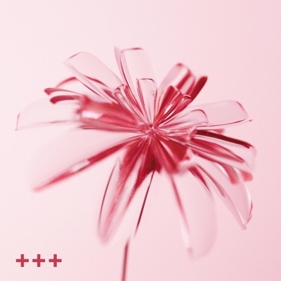 Camelia - Single