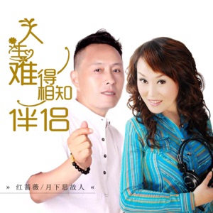 人生难得相知伴侣 - Single