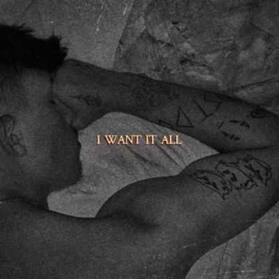 I Want It All - Single