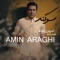 Sogand - Amin Araghi lyrics