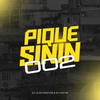Pique do sinin 002 (feat. DJ VINI MS, Mc Th, Mc Gw & Mc Magrinho) - Single - DJ LS DO MARTINS