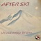 Hermann - After Ski lyrics
