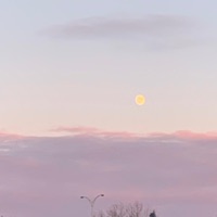 Cannot Fix U - Single - Smokedurkk