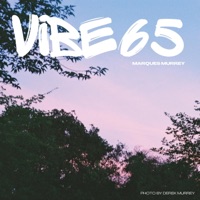 Vibe 65 - Single - Marques Murrey