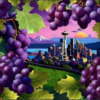 The Grape Tape - Jordy Nino