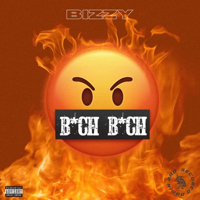 Bitch Bitch - Single