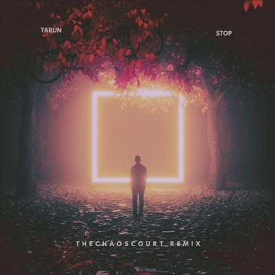 Stop (THECHAOSCOURT Remix) - Single