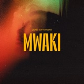 Mwaki (Sped Up) artwork
