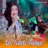 Lir Pedote Banyu - Single