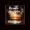 BRUCE WALLDO