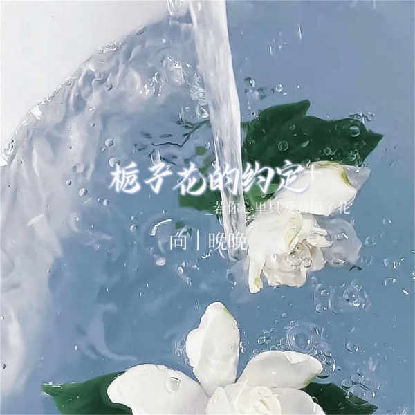 栀子花的约定 - Single