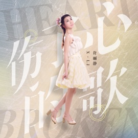 伤了心的歌 (Dj酱爆鱿鱼版) 许丽静