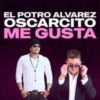 Me Gusta (feat. Oscarcito) - Single - El potro Álvarez