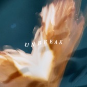 Unbreak artwork