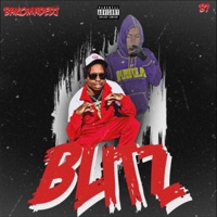 Blitz (feat. B7DaHound) - Single - BakomadeDj
