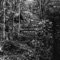 He's Coming to Us Dead - David Hughes lyrics