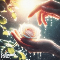 Розы - Single - Farmanth