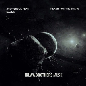 Reach For the Stars (feat. Nalize) [Remixes] - EP