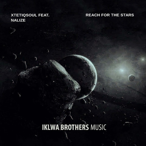 Reach For the Stars (feat. Nalize) [Remixes] - EP