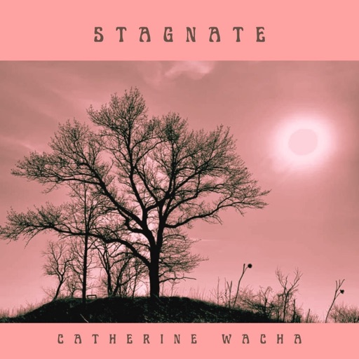 Album artwork
