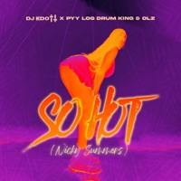 So Hot (Nicky Summers) (feat. Pyy Log Drum King & OLZ) - Single - DJ EDOTT