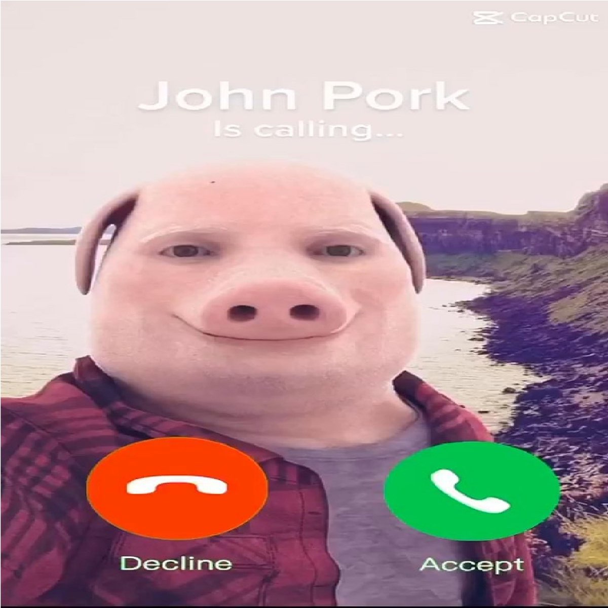 John Pork is calling. Who's next? #johnpork #chipotle #pig #thewhale #, john  pork calling
