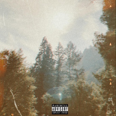 Still Golden / Clear Skies - Single