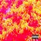 Standards (feat. Allisonbrxh) - Joey Jae lyrics
