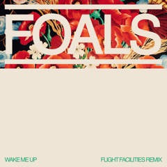 Wake Me Up (Flight Facilities Remix)