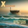 Something In the Water - Single