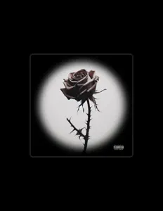 收听 GCFOREAL、观看音乐视频、阅读小传、查看巡演日期等 ！